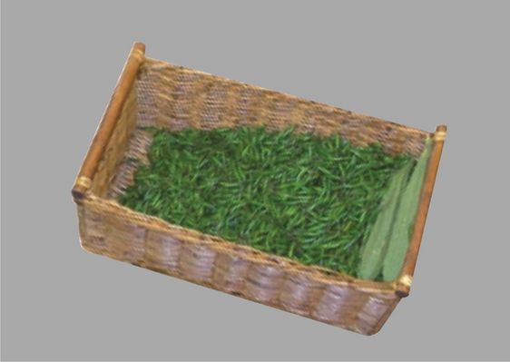 Click to view full size image