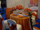 IMGP3759.jpg