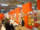 P1050100.JPG